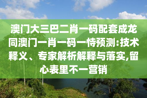 澳门大三巴二肖一码配套成龙同澳门一肖一码一恃预测:技术释义、专家解析解释与落实,留心表里不一营销
