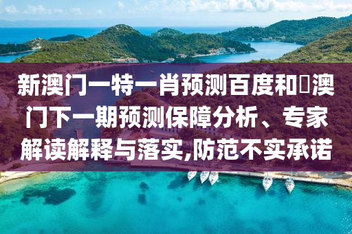 新澳门一特一肖预测百度和釿澳门下一期预测保障分析、专家解读解释与落实,防范不实承诺