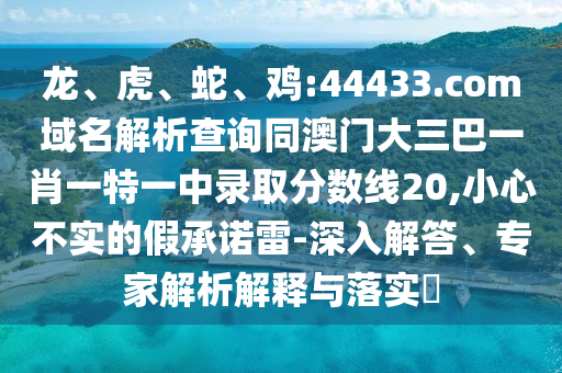 龙、虎、蛇、鸡:44433.com域名解析查询同澳门大三巴一肖一特一中录取分数线20,小心不实的假承诺雷-深入解答、专家解析解释与落实​